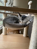 Cat Tree House Cat Condo with Transparent Bowl Bed I#1335