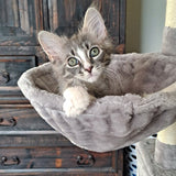 Aadede Multi-Level Cat Tree Tower with Hammock and Scratching Posts