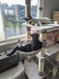 Multi Level Cat Tree Cat Tower I#1124