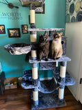 Multi Level Cat Tree Cat Tower I#1124