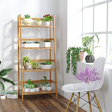 Ladder Shelves Ladder Stand Book Rack I#1127