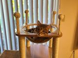 Cat Tree House Cat Condo with Transparent Bowl Bed I#1335